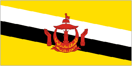 Country Code of Brunei Darussalam