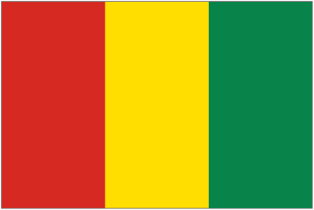 Country Code of Guinea